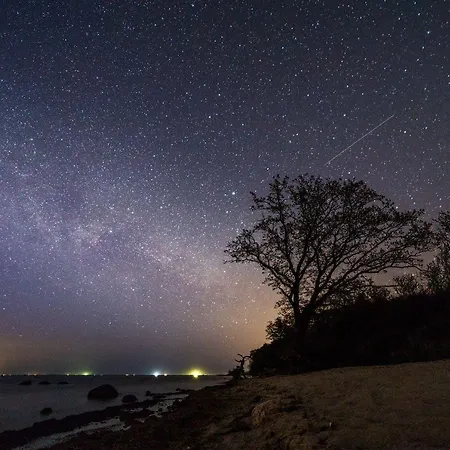 Seglerblick شقة *